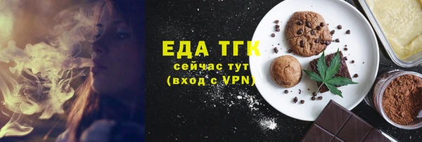 хмурый Алексин