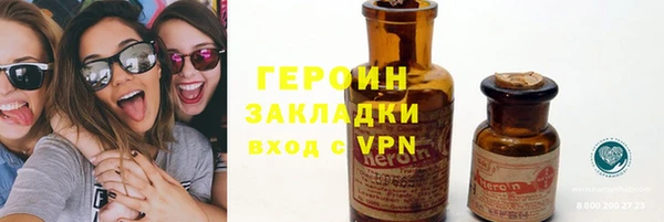 хмурый Алексин