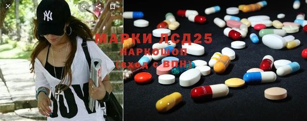 хмурый Алексин