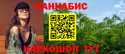 прущие крисы Бийск