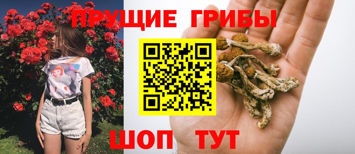 купить наркоту  Псилоцибиновые грибы мухоморы  Вход с VPN  Асбест 