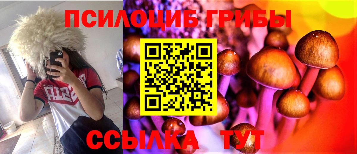 Псилоцибиновые грибы MAGIC MUSHROOMS Асбест