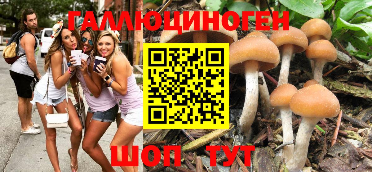 Псилоцибиновые грибы мицелий  Галлюциногенные грибы MAGIC MUSHROOMS  Асбест 
